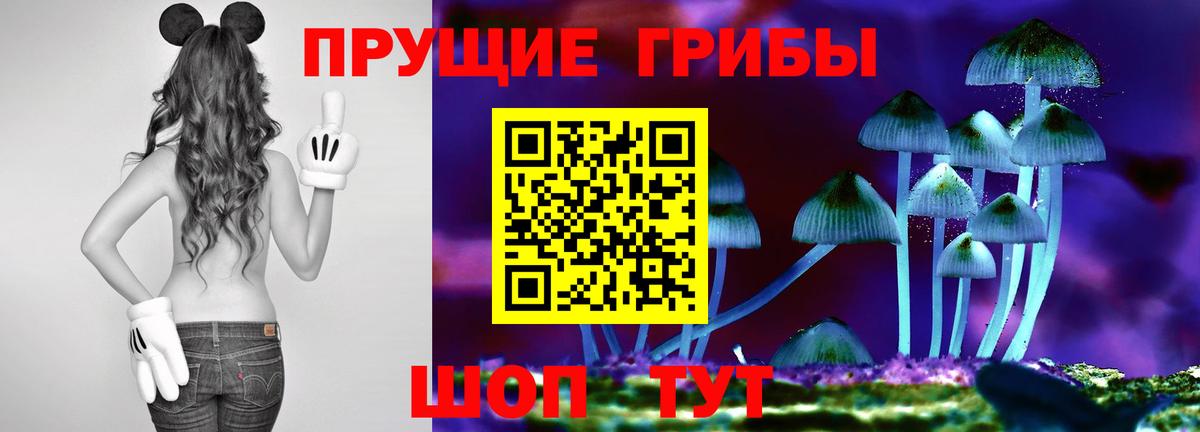 Галлюциногенные грибы Cubensis Королёв